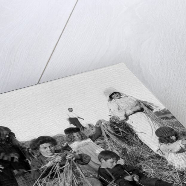 Harvesting, Isle of Man by George Bellett Cowen